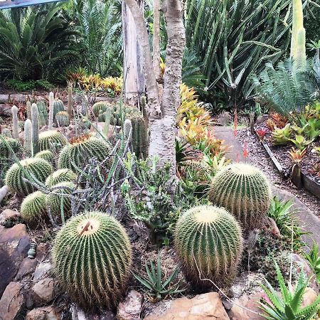 Ancient Gardens Guesthouse & Botanical Gardens Eudlo المظهر الخارجي الصورة