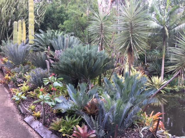 Ancient Gardens Guesthouse & Botanical Gardens Eudlo المظهر الخارجي الصورة