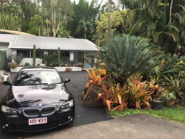 Ancient Gardens Guesthouse & Botanical Gardens Eudlo المظهر الخارجي الصورة