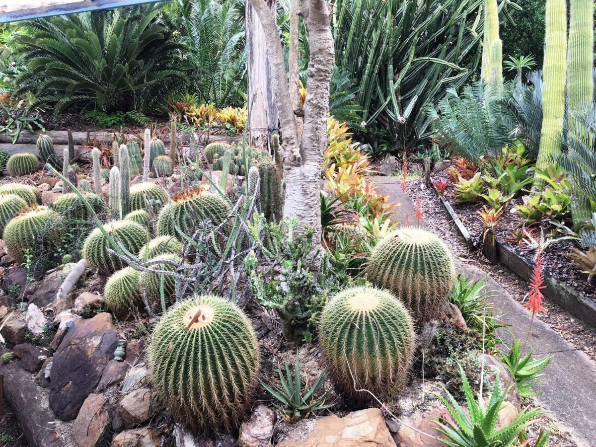 Ancient Gardens Guesthouse & Botanical Gardens Eudlo المظهر الخارجي الصورة