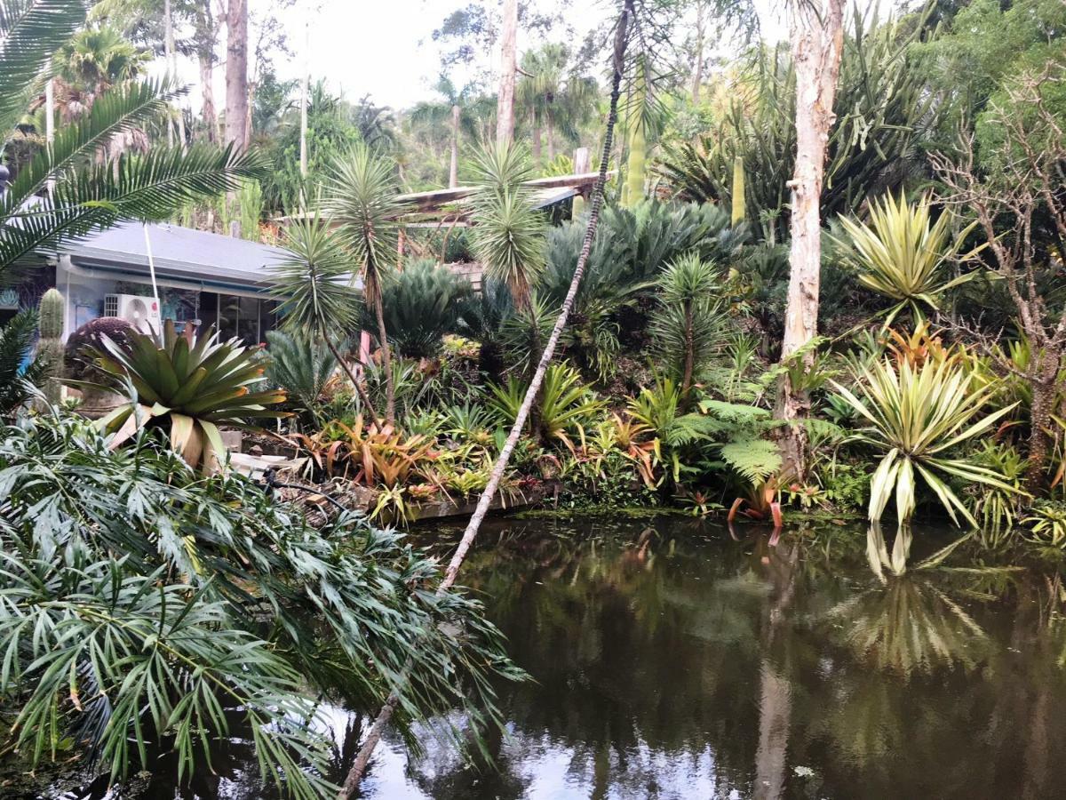 Ancient Gardens Guesthouse & Botanical Gardens Eudlo المظهر الخارجي الصورة
